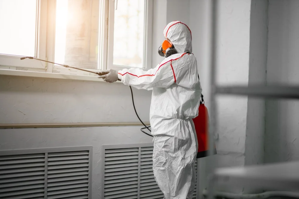 Professional mold remediation services in Saint Johns, FL